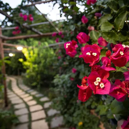 Oda ve Kahvaltı Casa Rosaria Amalfi Coast